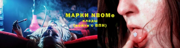 прущие грибы Верея